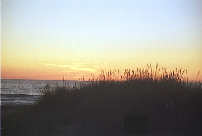 18 danmiternacht.jpg